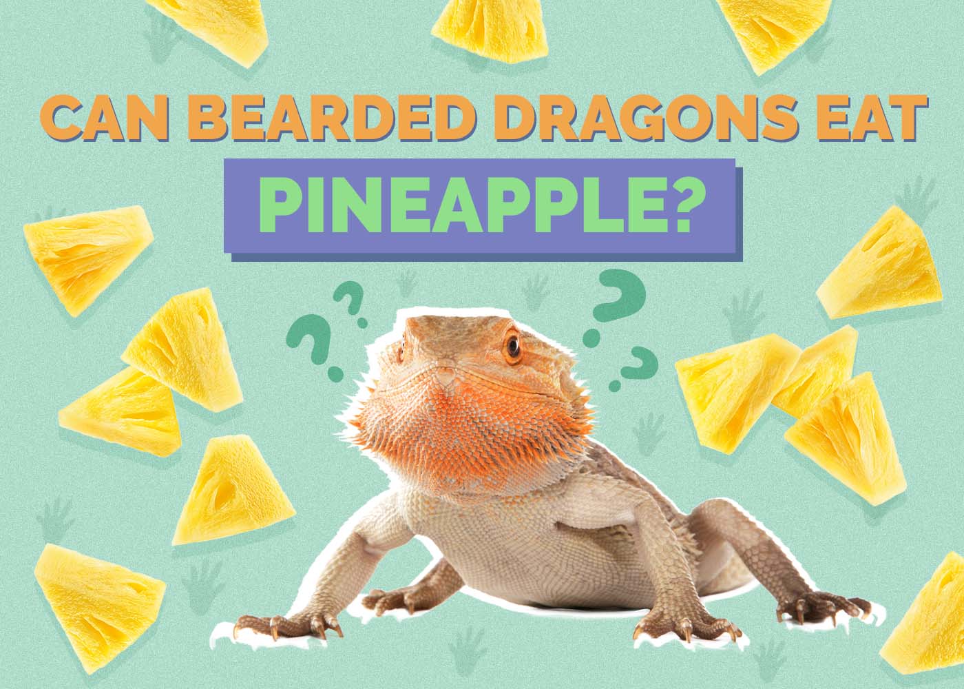 Can Bearded Dragons Eat Pineapple? Vet Approved Info & FAQ