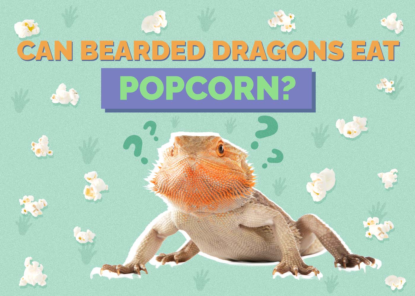 Can Bearded Dragons Eat Popcorn? Vet-Approved Facts & FAQ