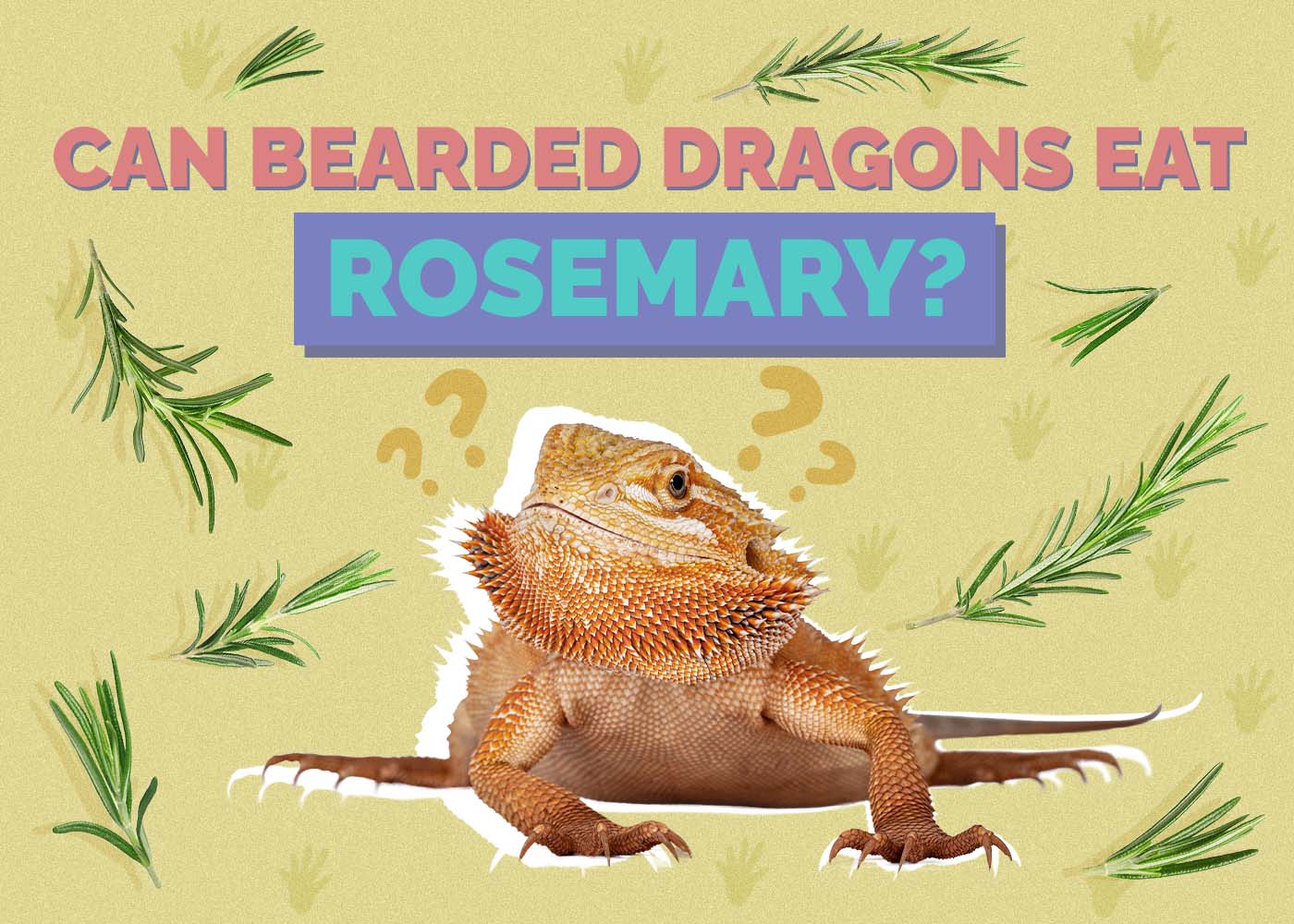 Can Bearded Dragons Eat Rosemary? Vet-Reviewed Safety Tips & Risks