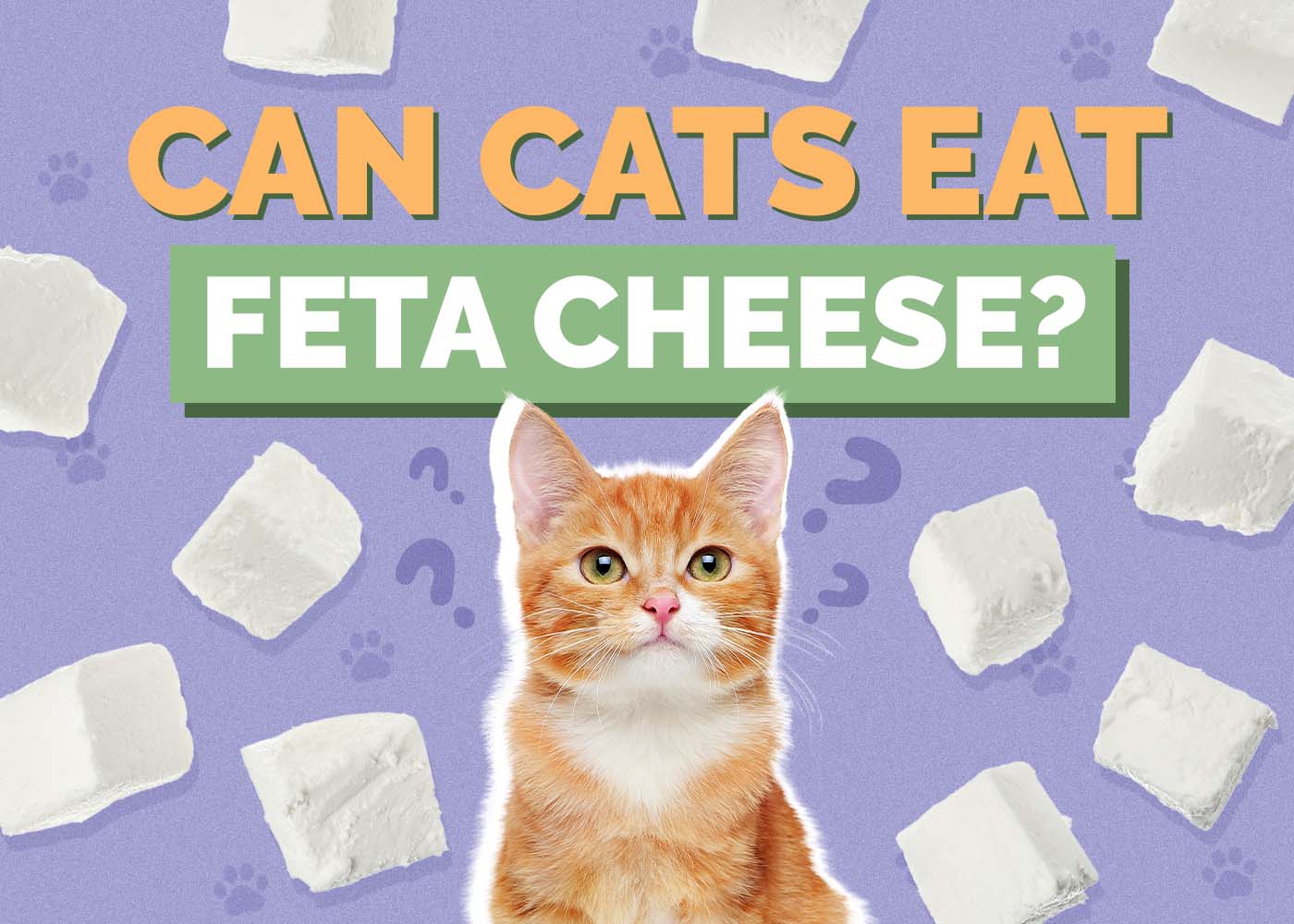 Can Cats Eat Feta Cheese? Vet-Verified Nutritional Facts & FAQ