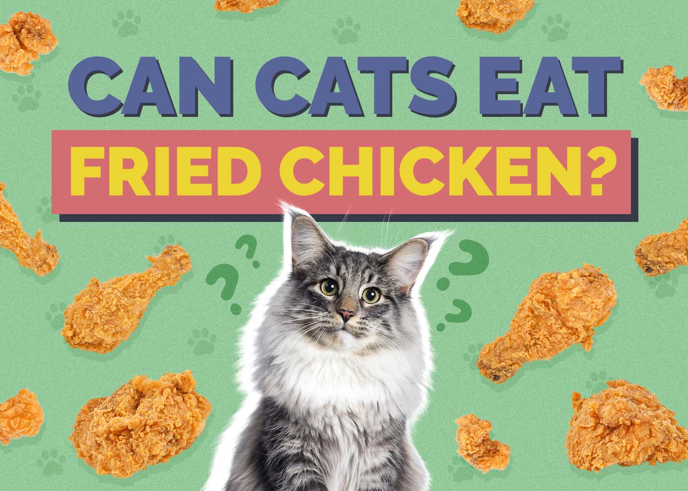 Can Cats Eat Fried Chicken? Vet-Reviewed Risks & FAQ