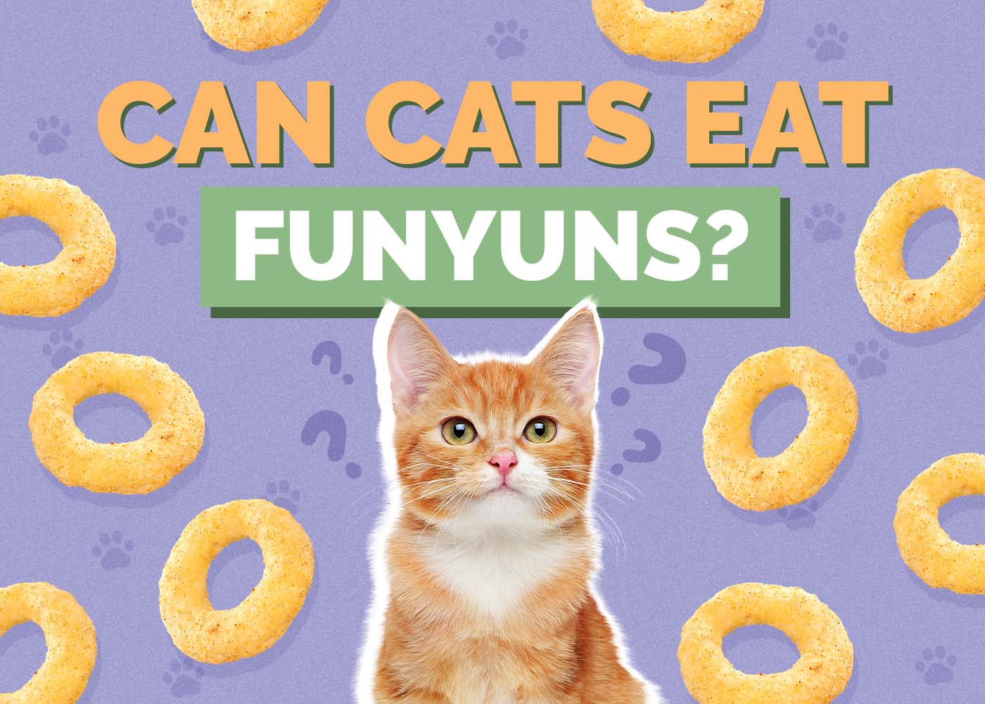 Can Cats Eat Funyuns? Vet Approved Risks & Nutritional Advice