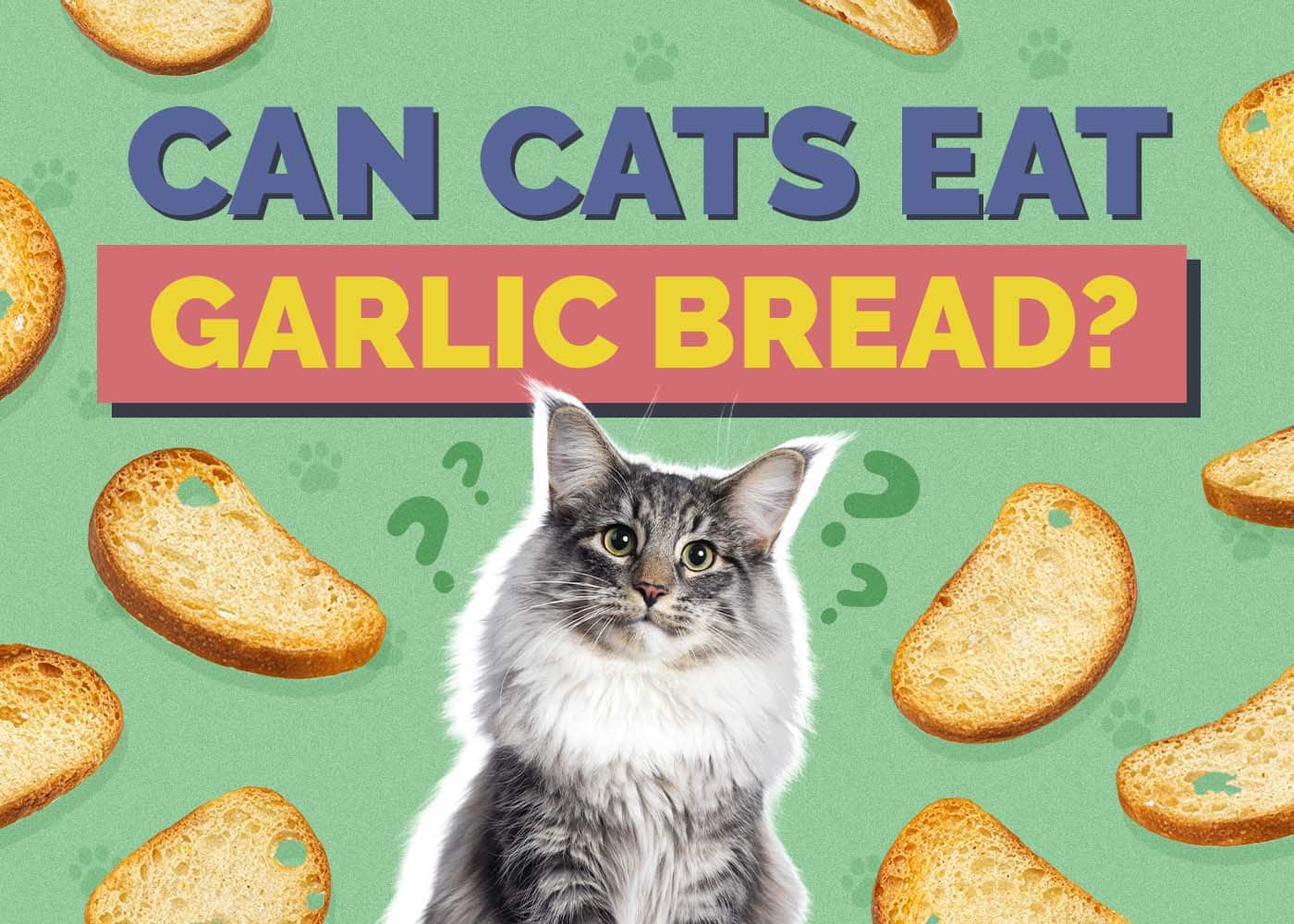Can Cats Eat Garlic Bread? Vet Approved Facts & FAQ