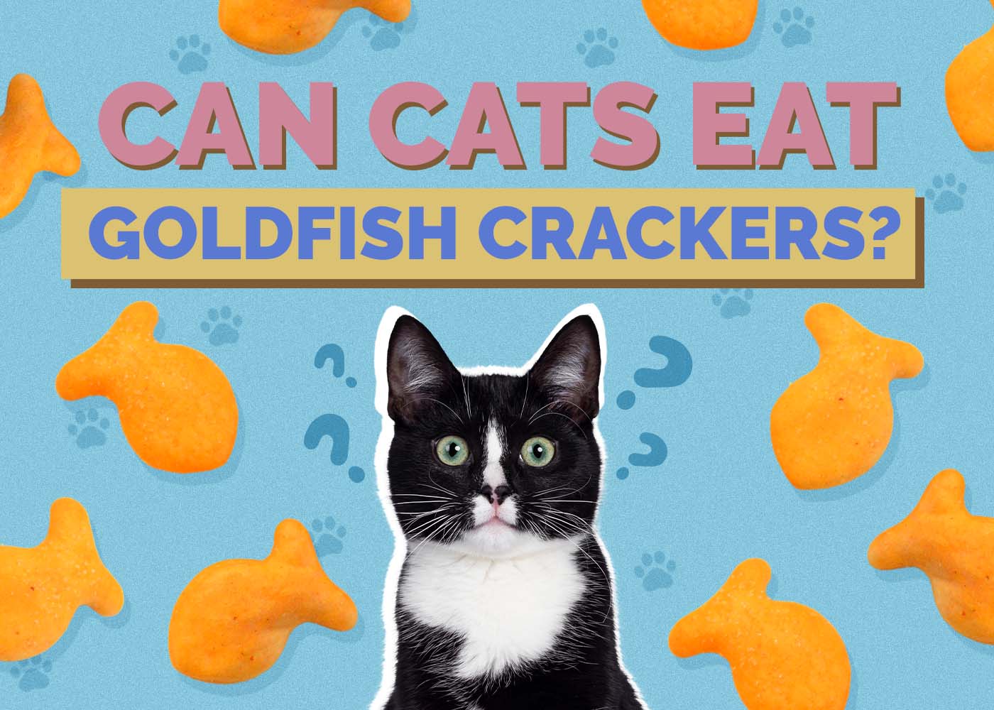 Can Cats Eat Goldfish Crackers? Vet Approved Facts & Safety Guide