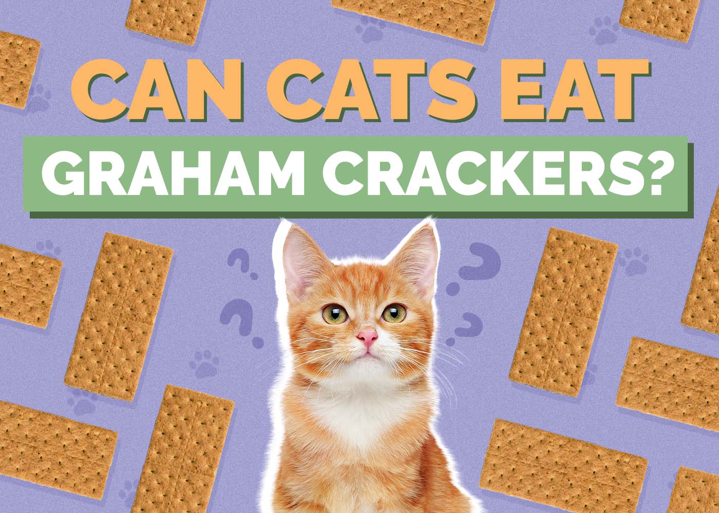 Can Cats Eat Graham Crackers? Vet Approved Facts & Tips