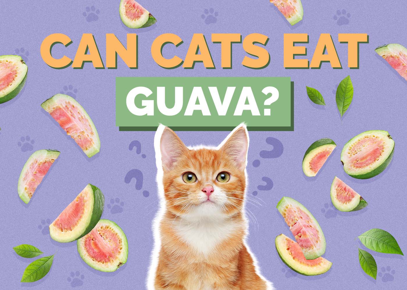 Can Cats Eat Guava? Vet-Approved Benefits, Risks & FAQ