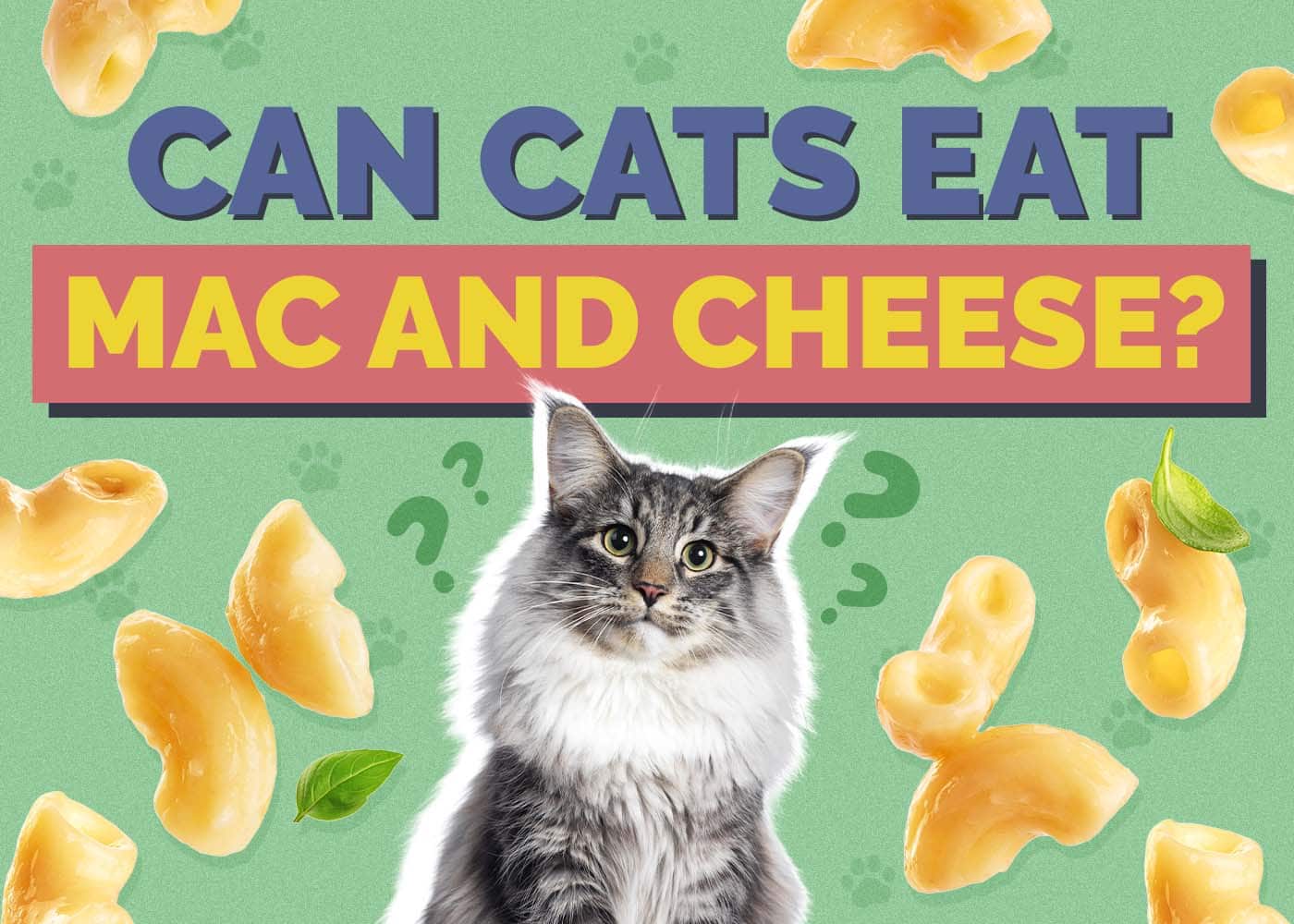 Can Cats Eat Mac and Cheese? Vet Approved Facts & Nutrition Tips