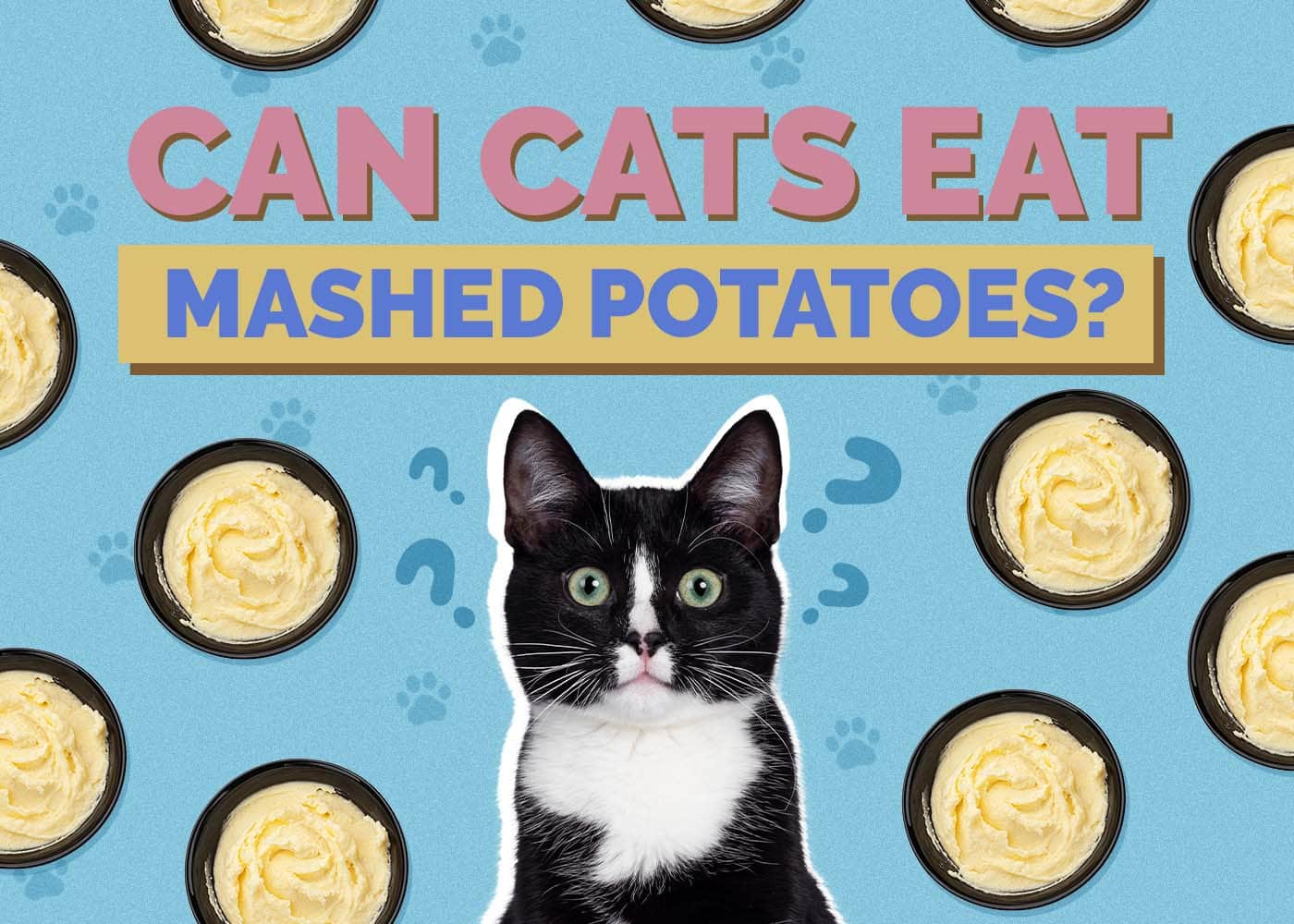 Can Cats Eat Mashed Potatoes? Vet-Reviewed Nutritional Benefits & Risks