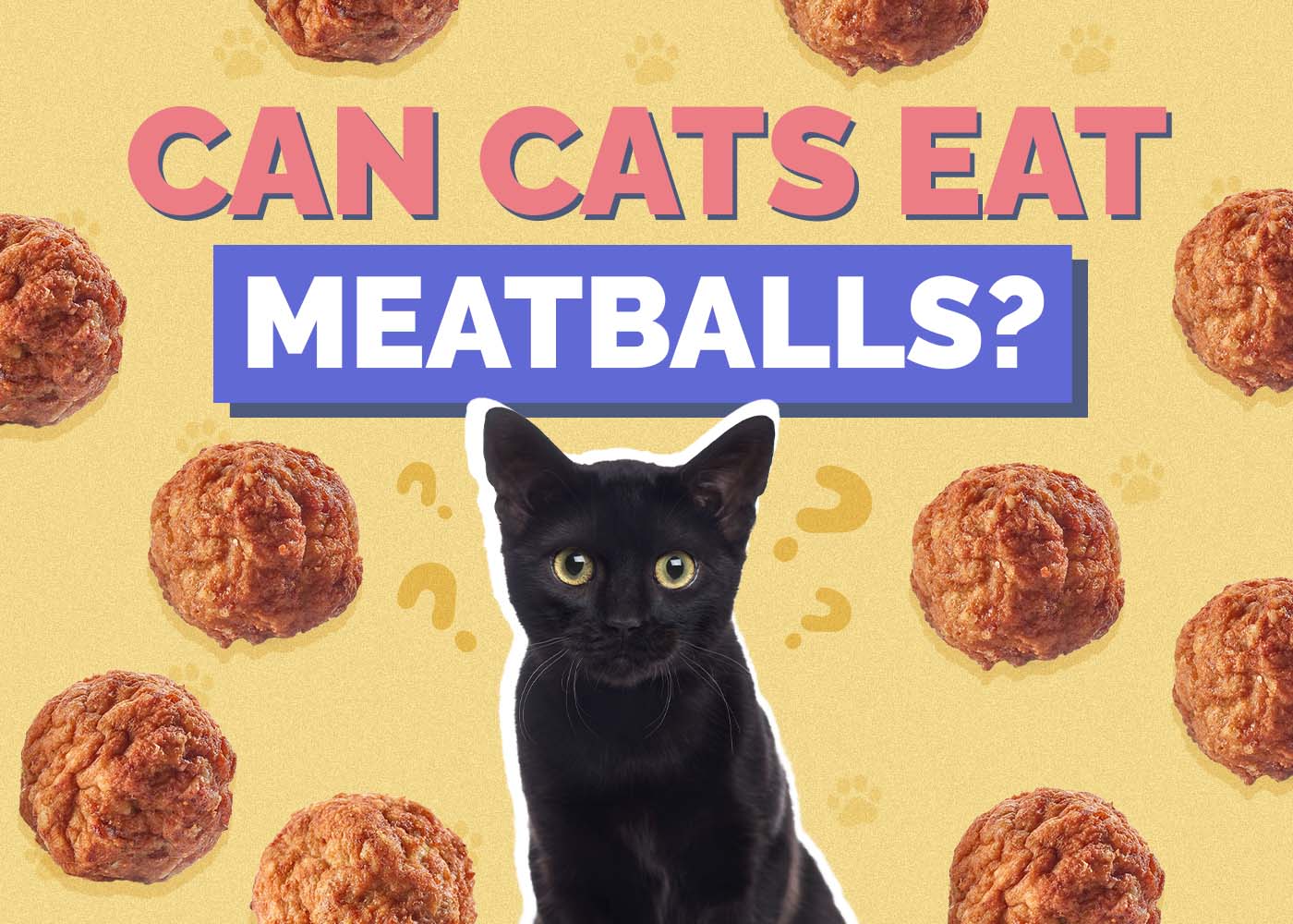 Can Cats Eat Meatballs? Vet-Verified Nutrition Facts & FAQ