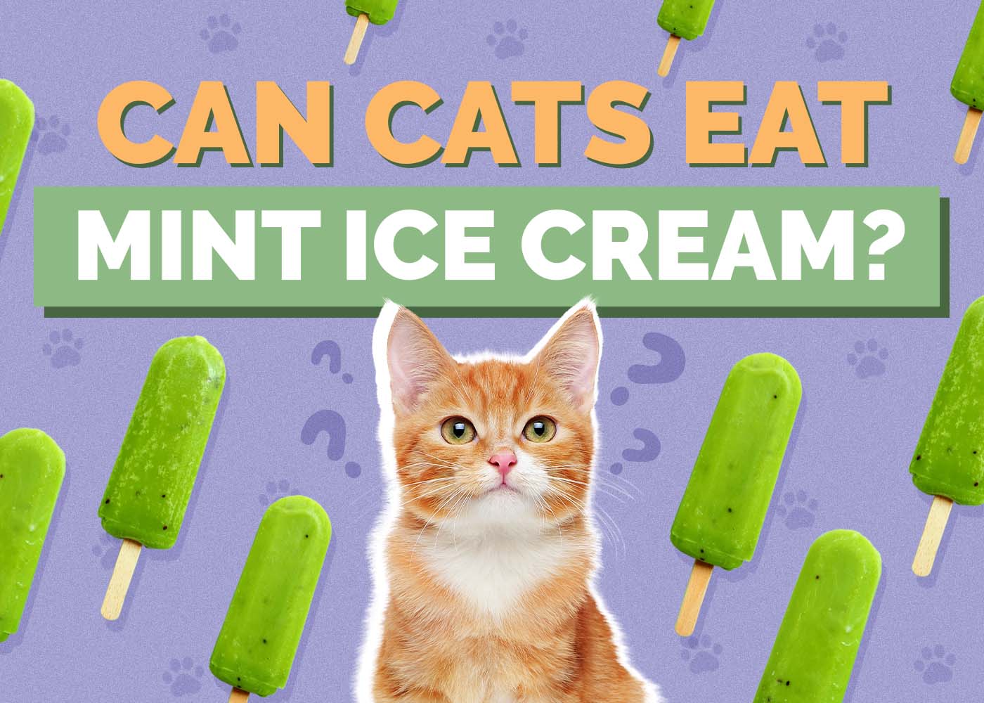 Can Cats Eat Mint Ice Cream? Vet Approved Facts, Safety Guide & FAQ