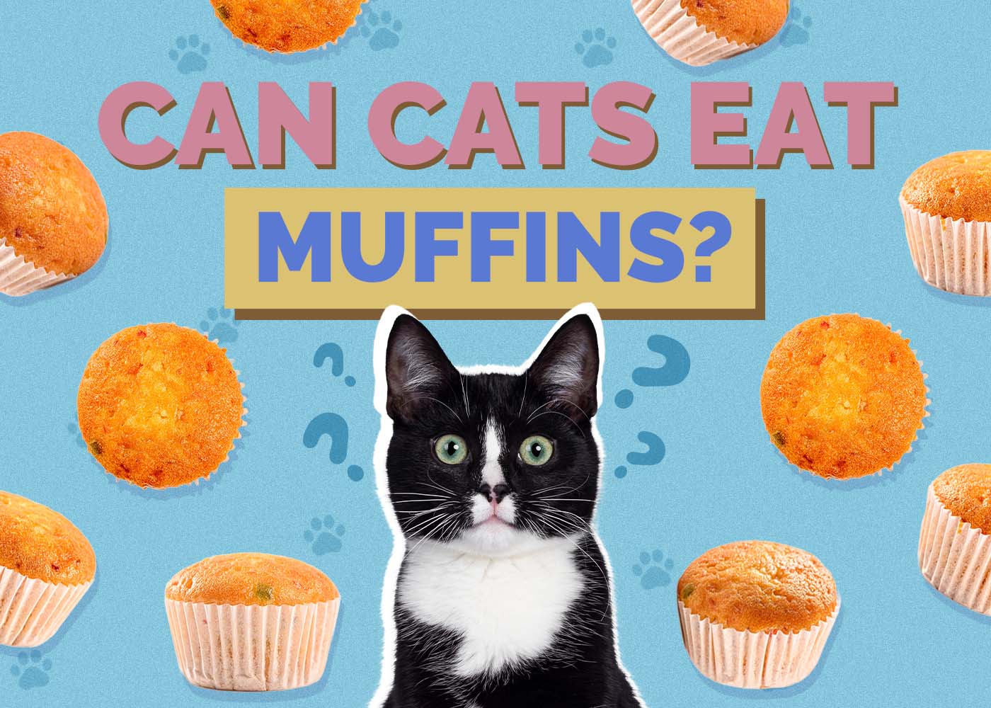 Can Cats Eat Muffins? Vet-Reviewed Facts & Risks