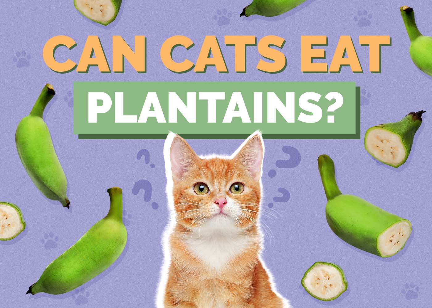 Can Cats Eat Plantains? Vet-Reviewed Risks & Healthy Treats