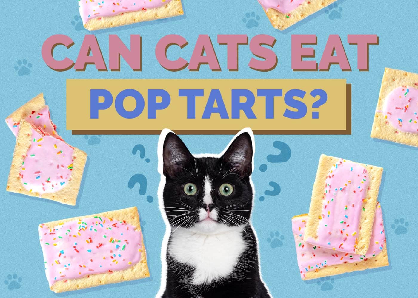 Can Cats Eat Pop Tarts? Vet-Reviewed Facts & FAQ