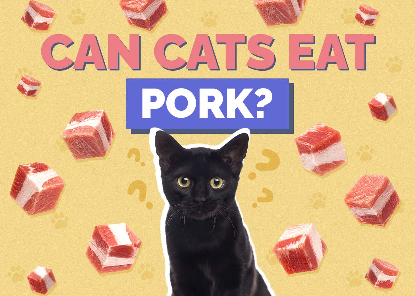 Can Cats Eat Pork? Vet-Reviewed Health Facts & FAQ