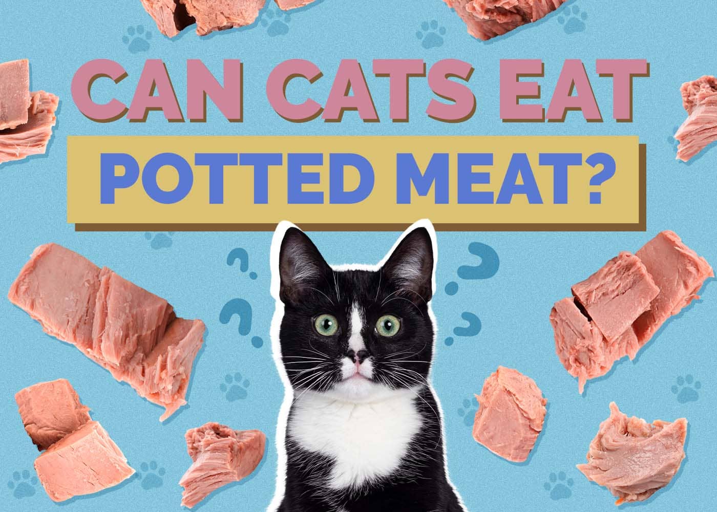 Can Cats Eat Potted Meat? Vet-Reviewed Risks & Facts