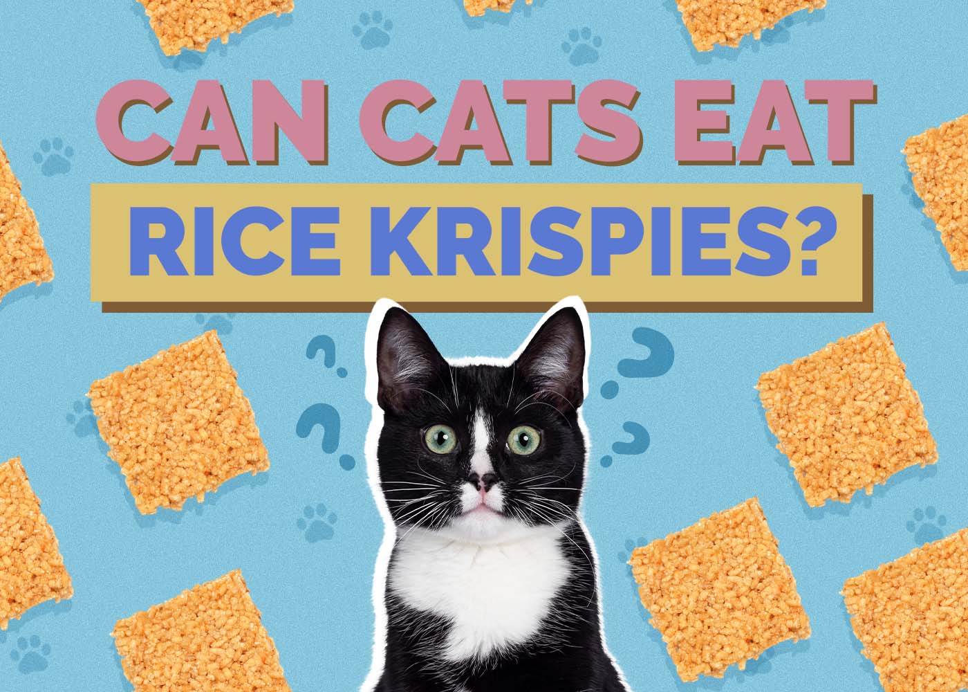 Can Cats Eat Rice Krispies? Vet-Reviewed Risks & FAQ