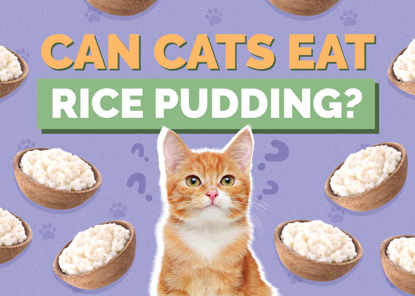 Can Cats Eat Rice Pudding? Vet Approved Nutrition Facts & FAQ