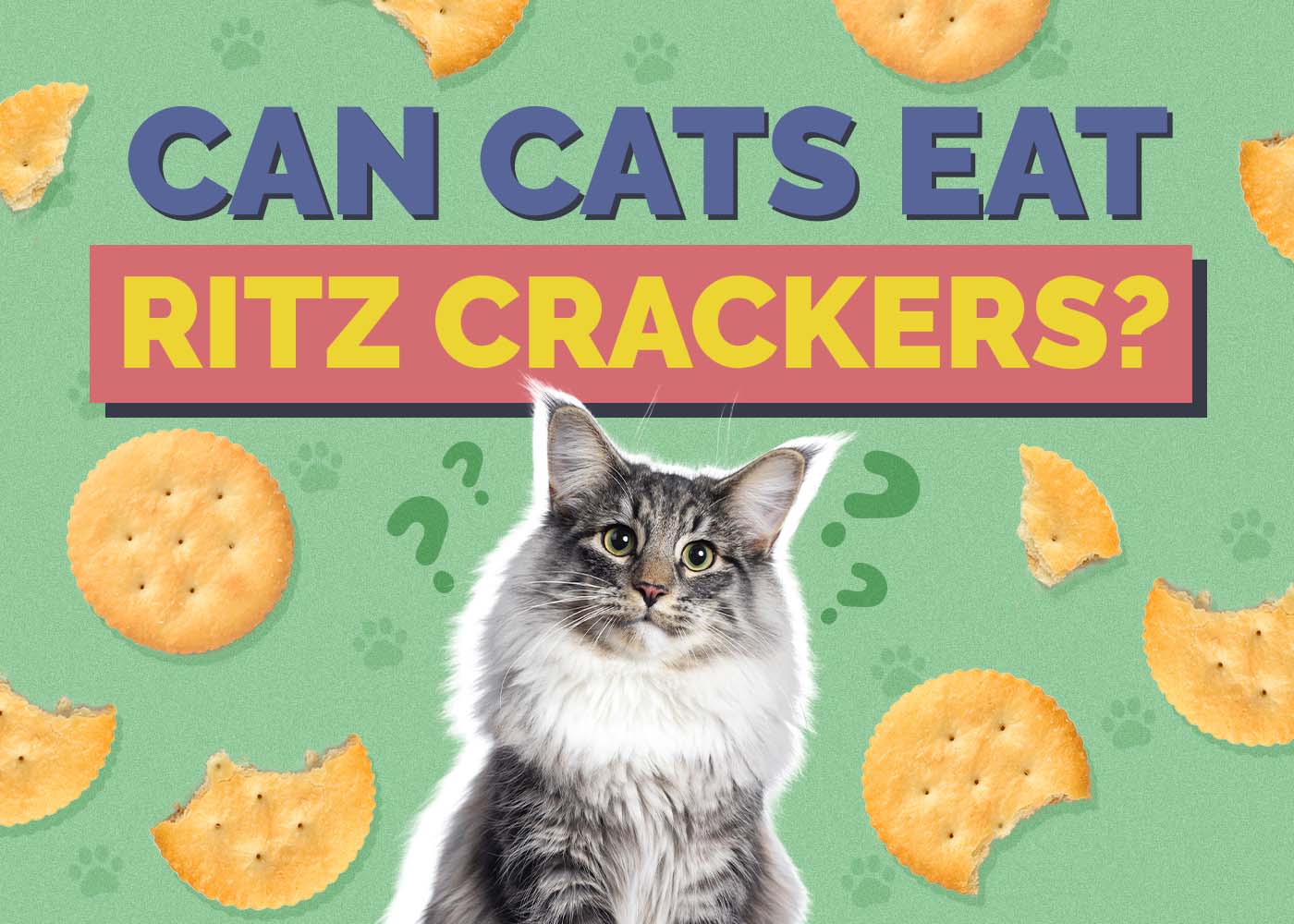 Can Cats Eat Ritz Crackers? Vet-Verified Risks & FAQ