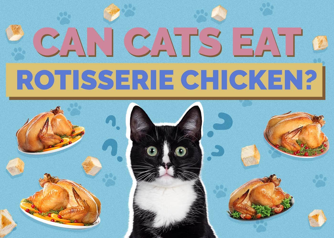 Can Cats Eat Rotisserie Chicken? Vet-Approved Facts & FAQ