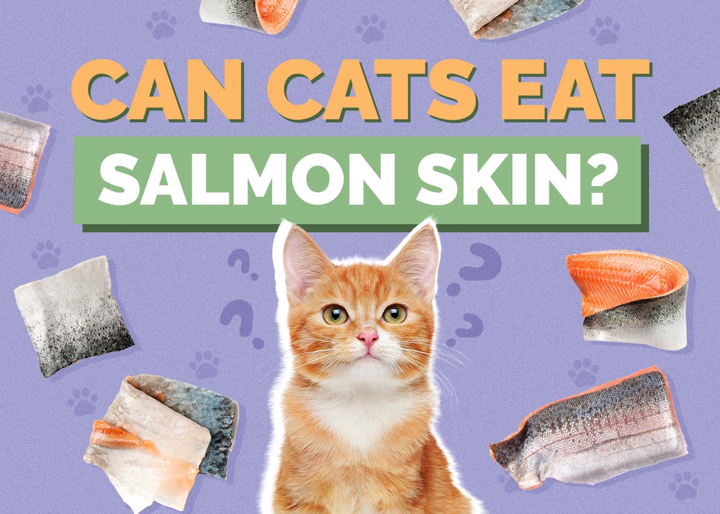 Can Cats Eat Salmon Skin? Vet Approved Nutrition Facts & FAQ