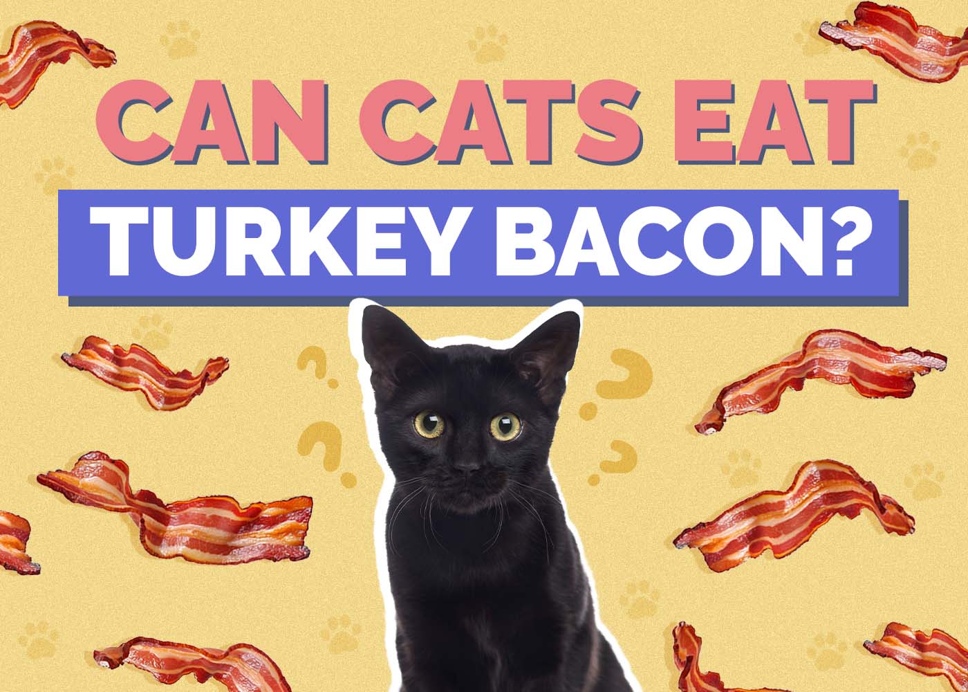 Can Cats Eat Turkey Bacon? Vet-Verified Facts & FAQ