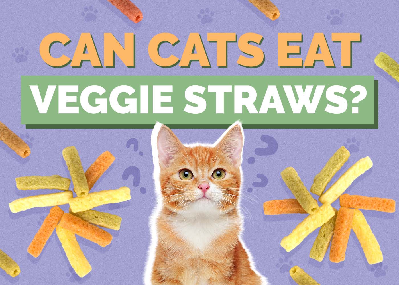Can Cats Eat Veggie Straws? Vet-Reviewed Facts & FAQ