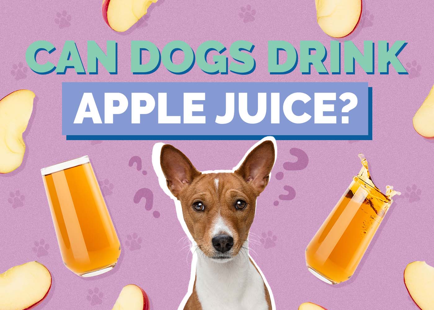 Can Dogs Drink Apple Juice? Vet-Approvedc