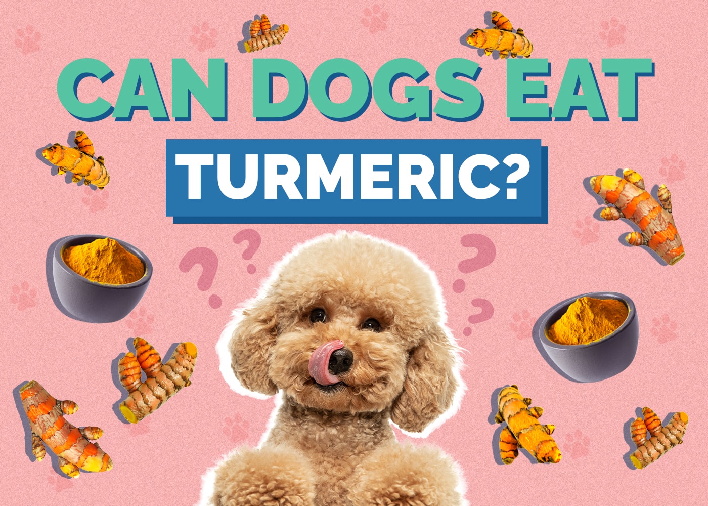 Can Dogs Eat Turmeric? Vet-Reviewed Nutrition Facts & FAQ