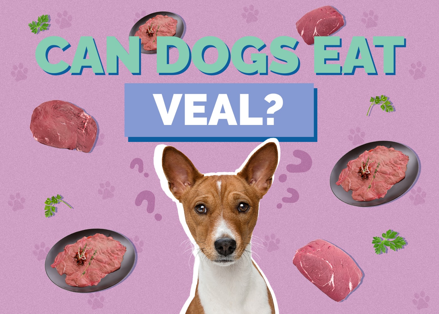 Can Dogs Eat Veal? Vet-Reviewed Facts & FAQ