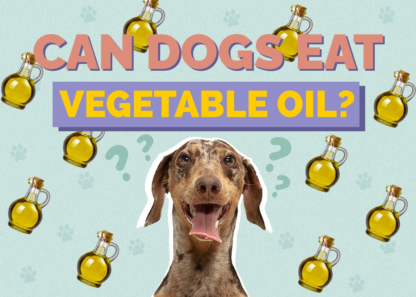 Can Dogs Eat Vegetable Oil? Vet Approved Facts & FAQ
