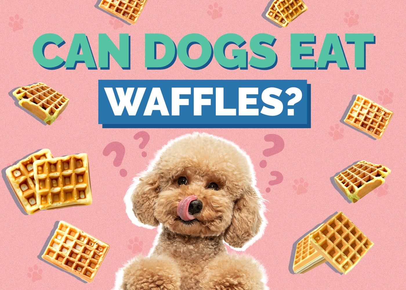 Can Dogs Eat Waffles? What The Science Says!