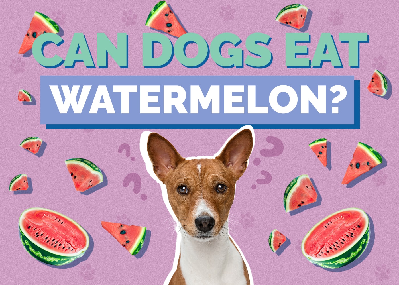 Can Dogs Eat Watermelon? Vet-Approved Benefits, Risks & FAQ