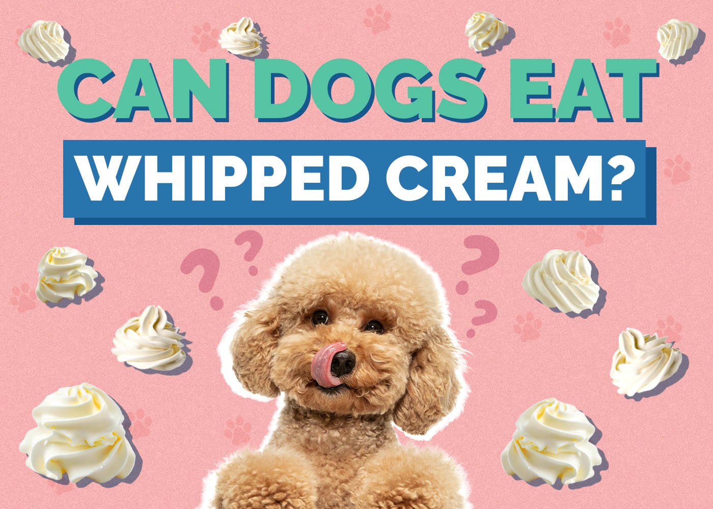 Can Dogs Eat Whipped Cream? Vet-Reviewed Facts & Considerations