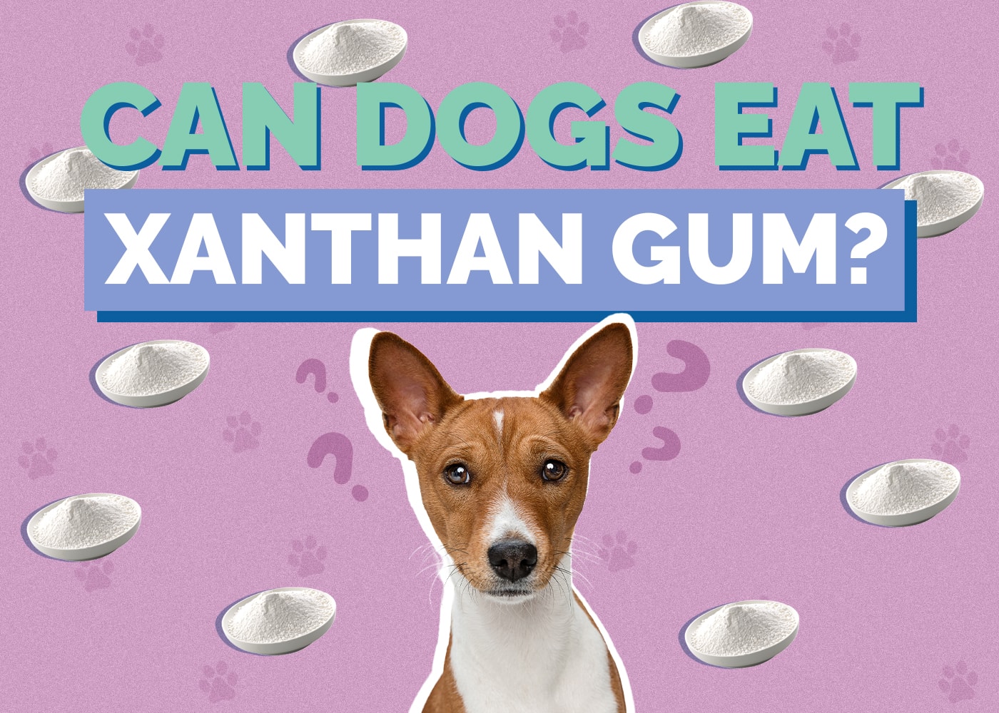 Can Dogs Eat Xanthan Gum? Vet-Reviewed Facts & FAQ