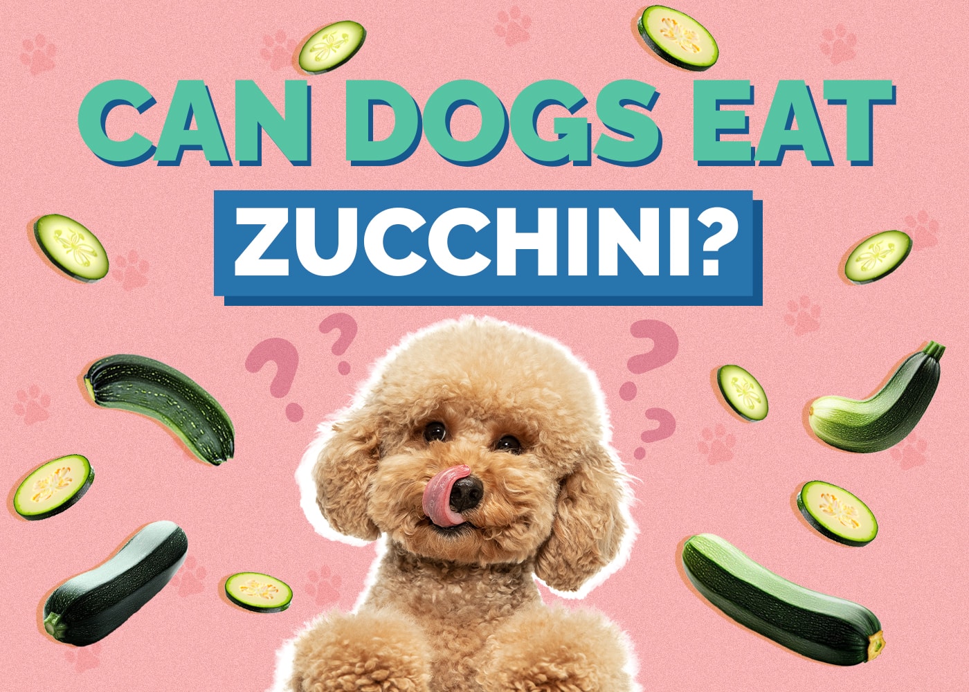 Can Dogs Eat Zucchinis? Vet Approved Tips & FAQs