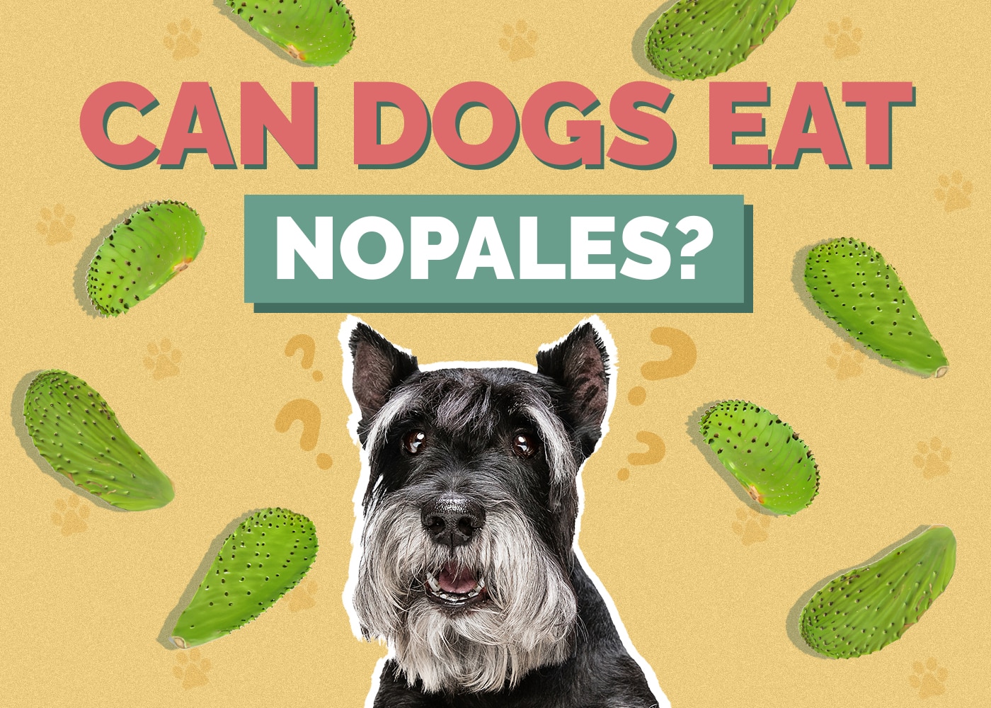Can Dogs Eat Nopales? How Healthy Is It?