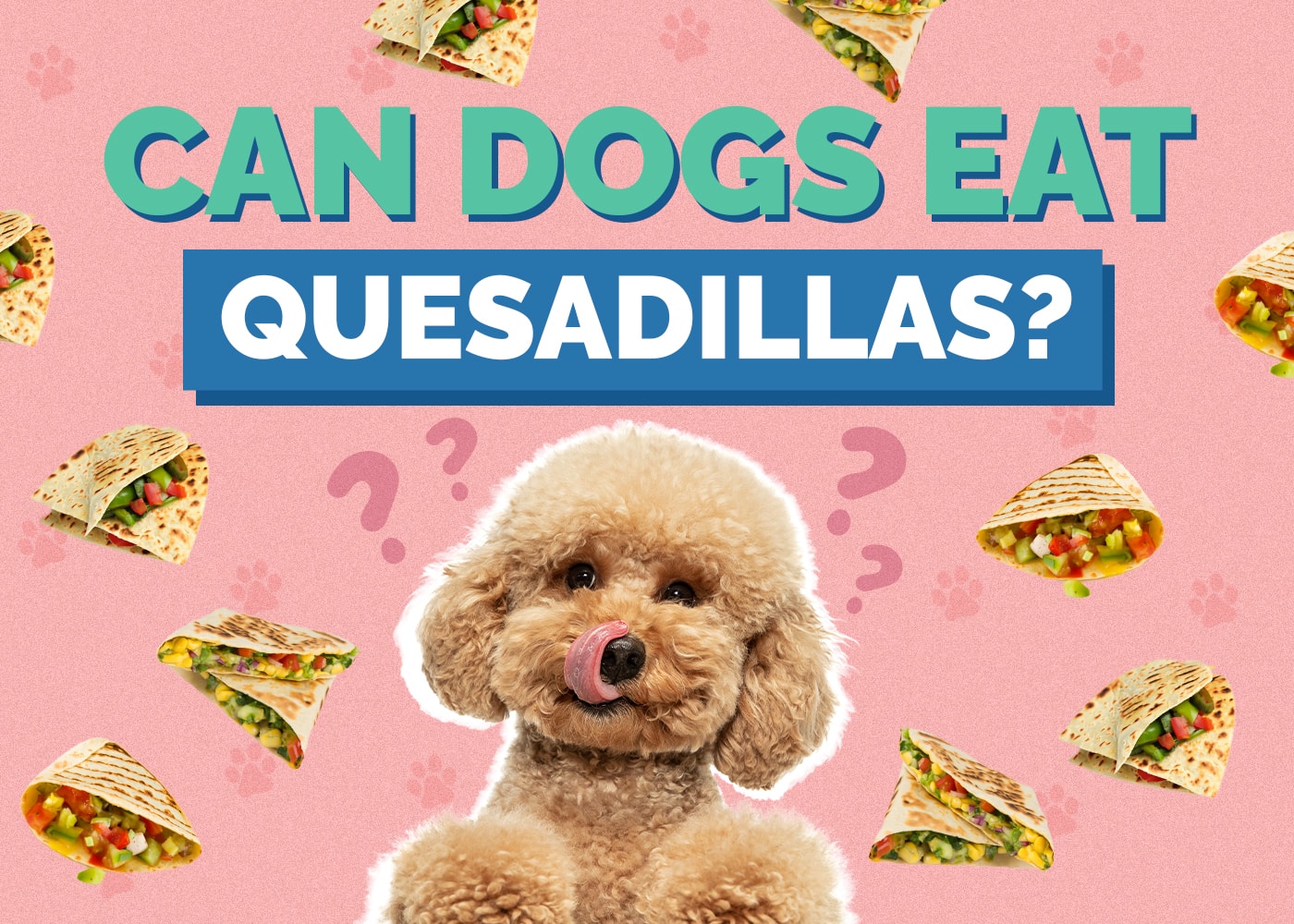 Can Dogs Eat Quesadillas? Vet Reviewed Nutrition & Safety Facts