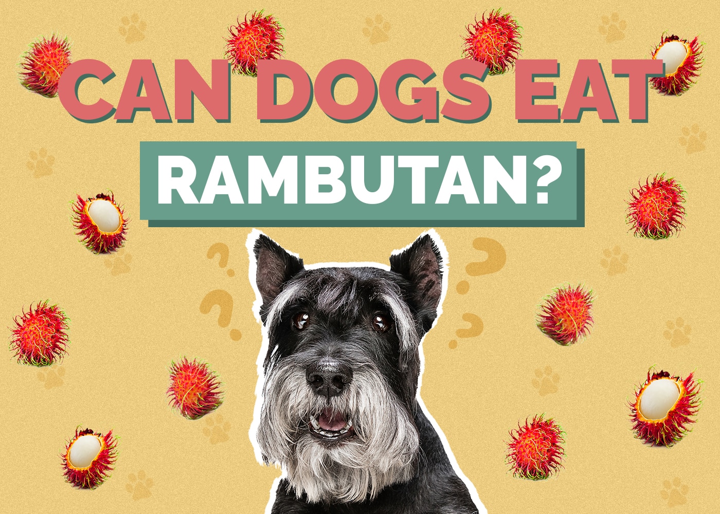Can Dogs Eat Rambutan? Vet Reviewed Health & Nutrition Facts