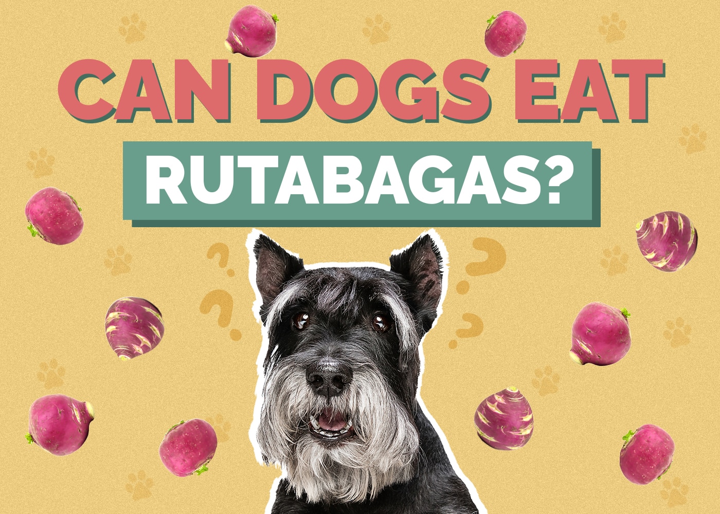 Can Dogs Eat Rutabagas