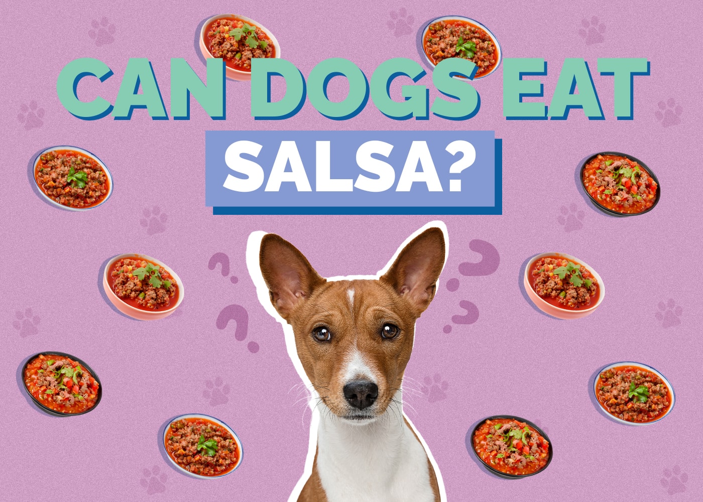 Can Dogs Eat Salsa? Vet Reviewed Health & Safety Facts