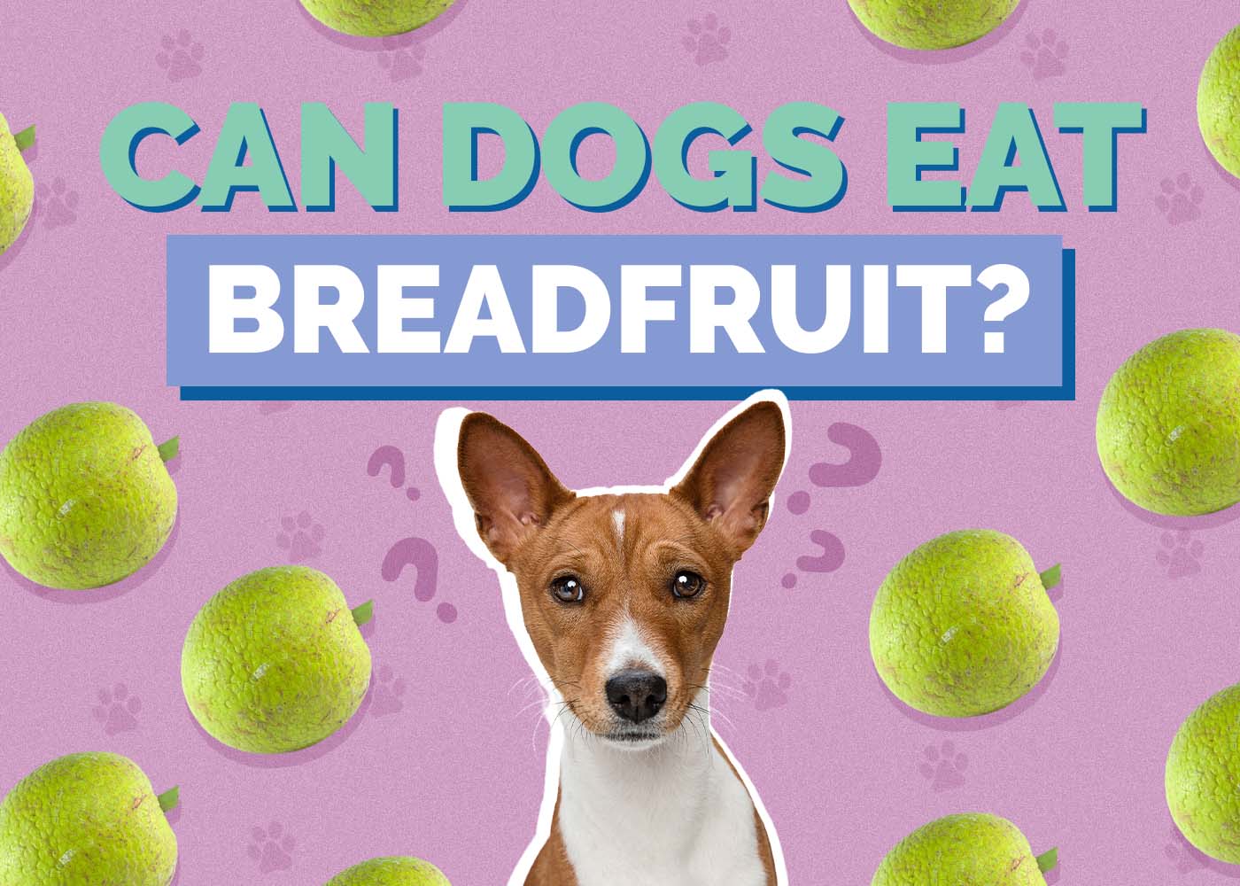 Can Dogs Eat Breadfruit? Vet-Verified Risks & Safe Alternatives