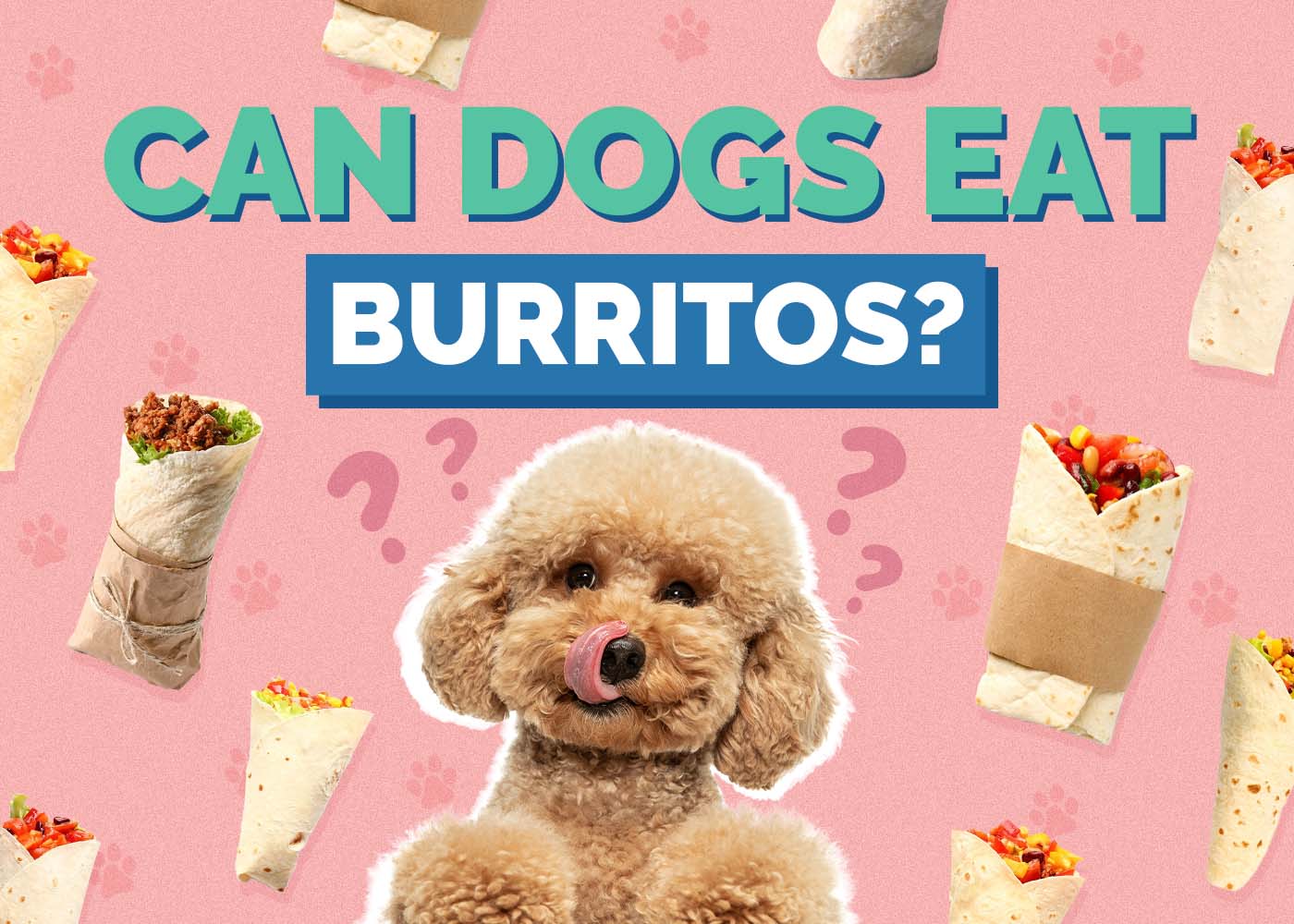 Can Dogs Eat Burritos? Vet Reviewed Health Concerns