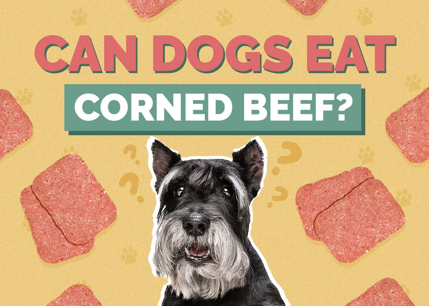 Can Dogs Eat Corned Beef? Vet-Verified Risks & Safer Alternatives
