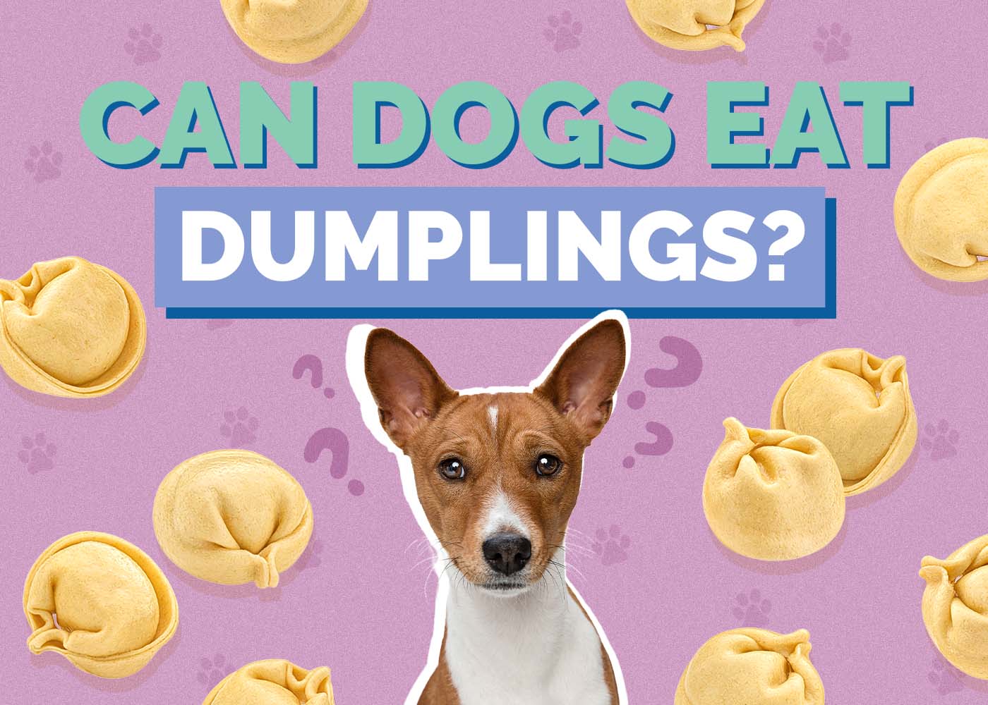 Can Dogs Eat Dumplings? Vet Reviewed Health Concerns & FAQ