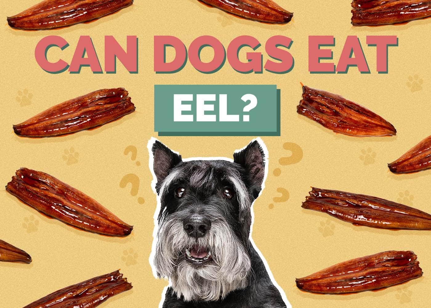 Can Dogs Eat Eel? Vet-Reviewed Risks & Dangers
