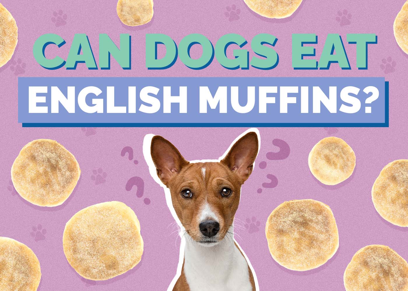 Can Dogs Eat English Muffins? Vet Approved Nutrition Facts & FAQ