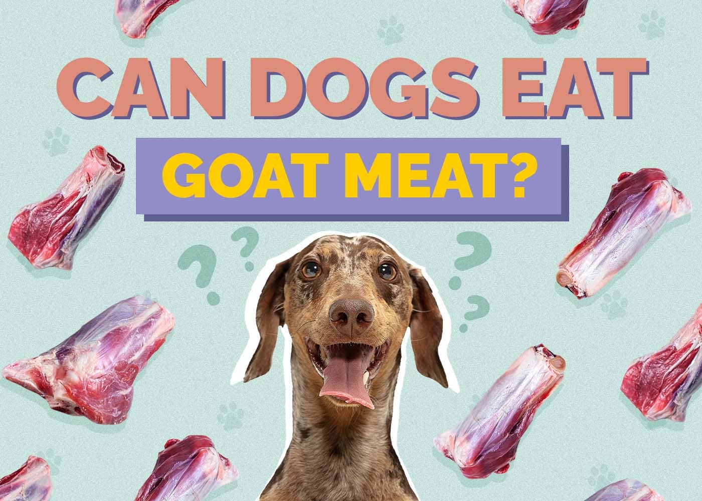 Can Dogs Eat Goat Meat? Vet Reviewed Health Concerns & FAQ
