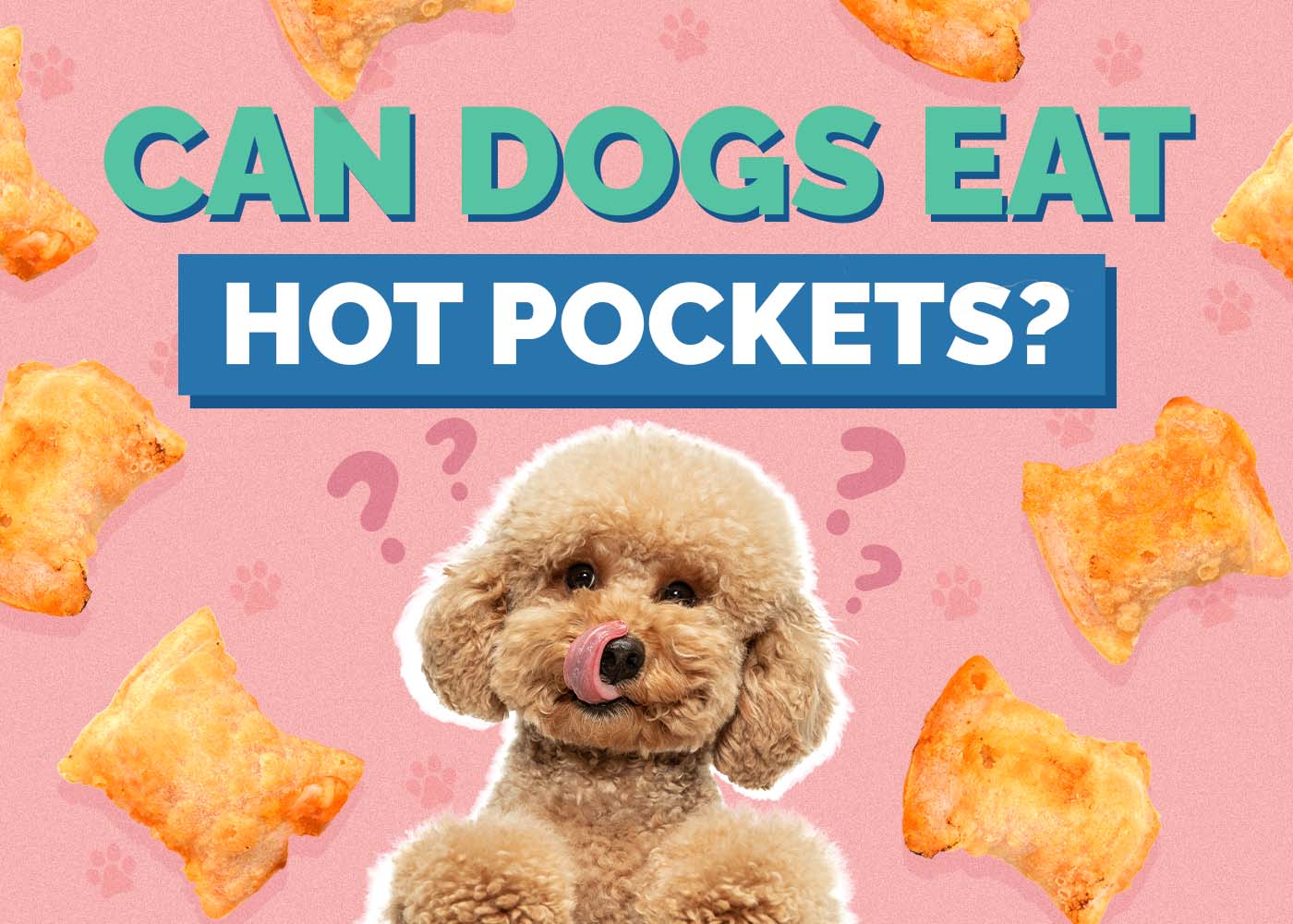 Can Dogs Eat Hot Pockets? Vet Reviewed Facts & Health Concerns
