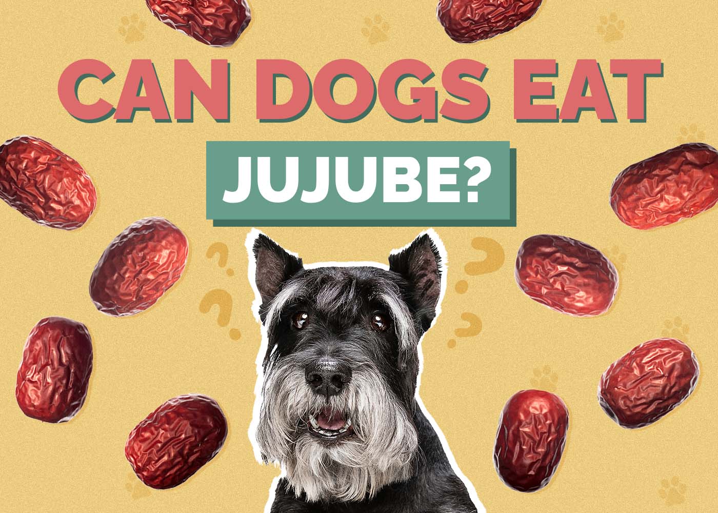 Can Dogs Eat Jujube? Vet Approved Nutritional Facts & FAQ