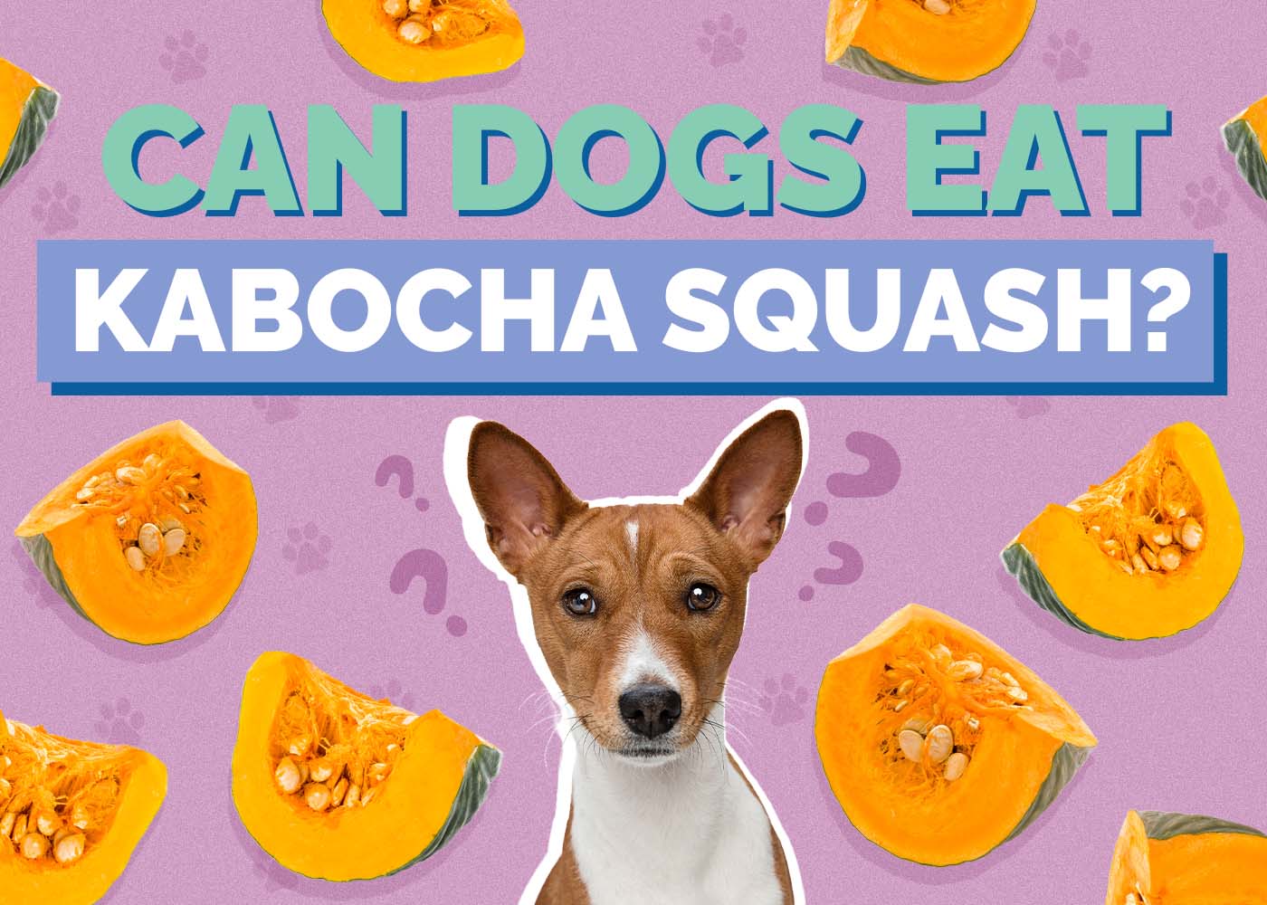 Can Dogs Eat Kabocha Squash? Vet-Approved Benefits & FAQ